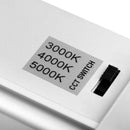 4 Inch Robusto Airtight PAR20 3CCT