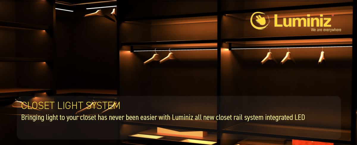 Luminiz Inc