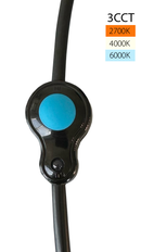 Landscape 12V AC / DC: Honeycomb