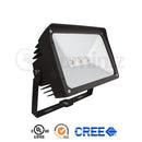 Floodlight 50W : 120V AC