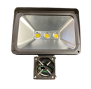 Floodlight 100W : 120V AC