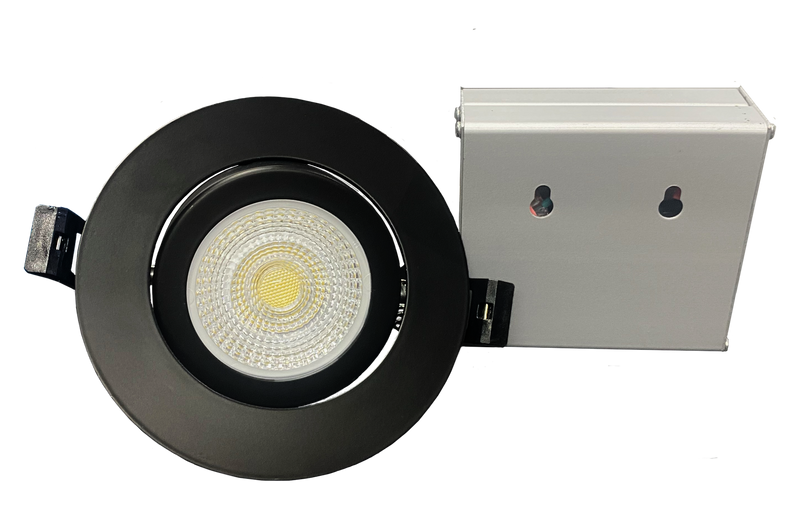 4 Inch Retro-Can PAR20 (Non Airtight) 3CCT