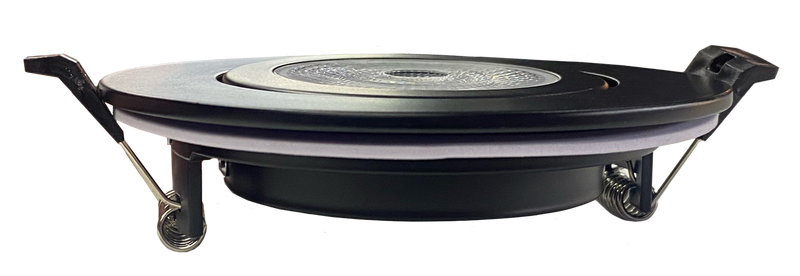 4 Inch Retro-Can PAR20 (Non Airtight) 3CCT